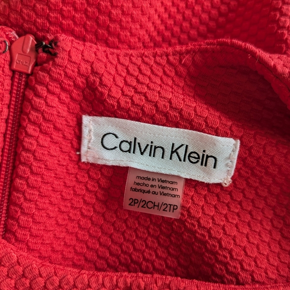 Calvin Klein Petite Women's Red/Pink Textured Puff Sleeve Dress - Picture 2 of 8